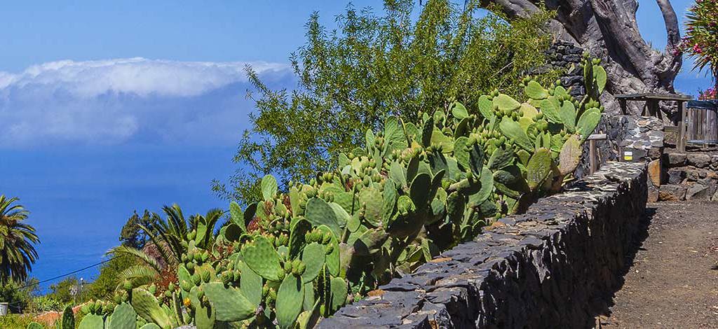 Hotels in Brena Baja